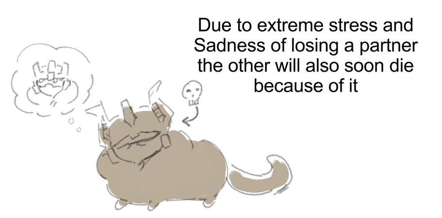 Due to extreme stress and sadness of losing a partner, it will soon die because of it.